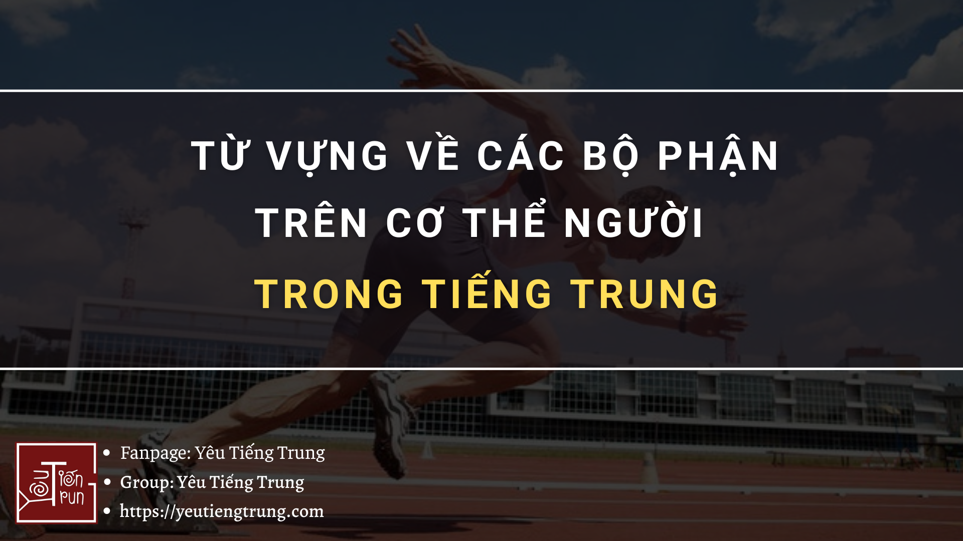 cac-bo-phan-tren-co-the-nguoi-trong-tieng-trung