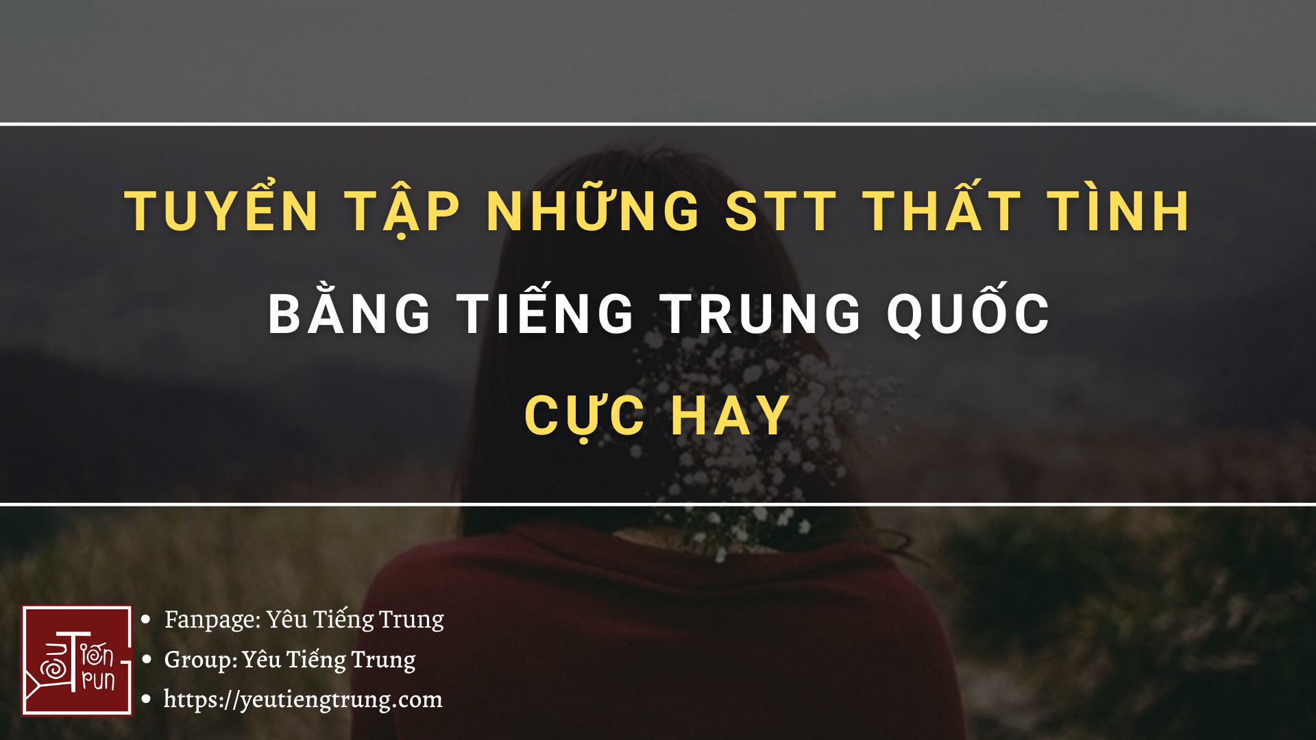 tong-hop-nhung-stt-that-tinh-bang-tieng-trung-quoc