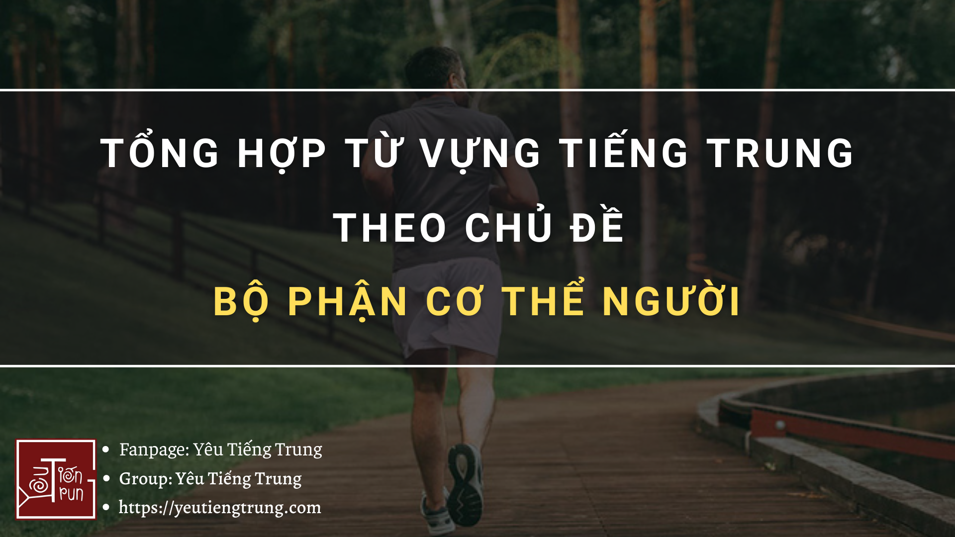 tong-hop-tu-vung-tieng-trung-theo-chu-de-bo-phan-co-the-nguoi