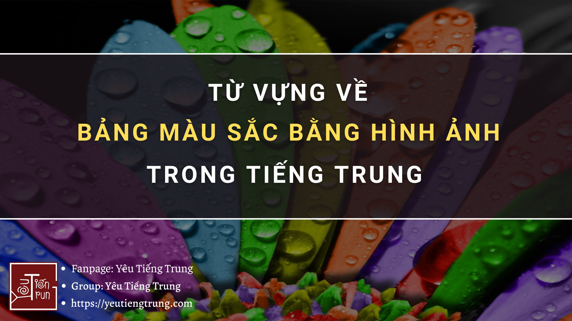 tu-vung-bang-mau-sac-bang-hinh-anh-trong-tieng-trung