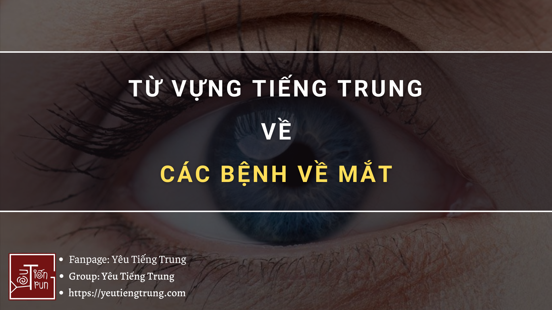 tu-vung-tieng-trung-cac-benh-ve-mat