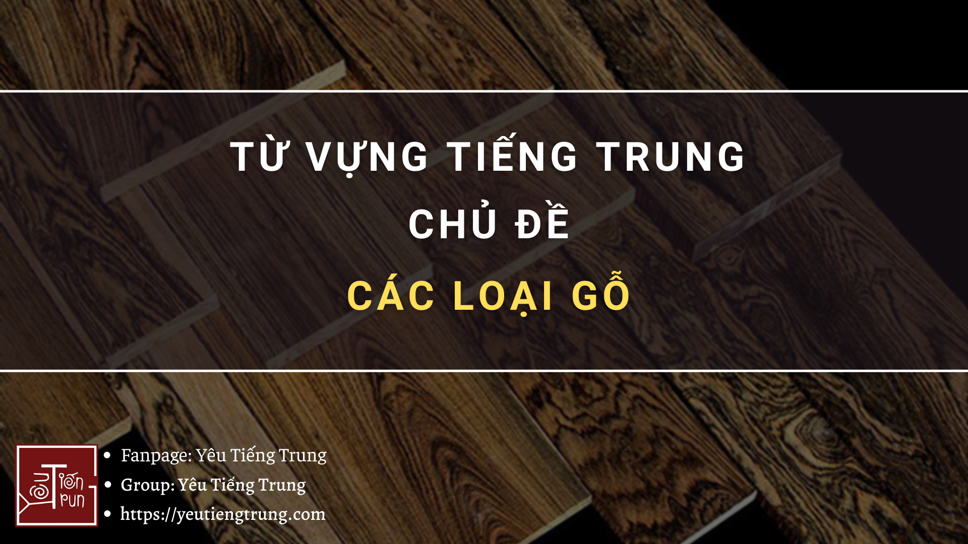 tu-vung-tieng-trung-chu-de-cac-loai-go