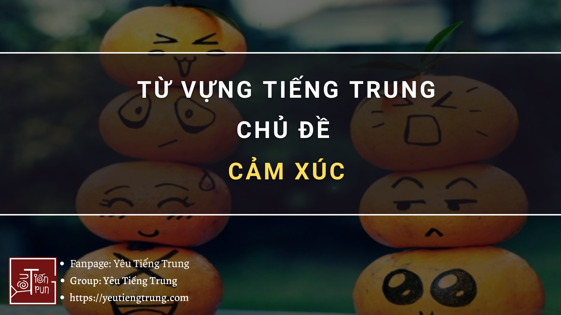 tu-vung-tieng-trung-chu-de-cam-xuc-2021