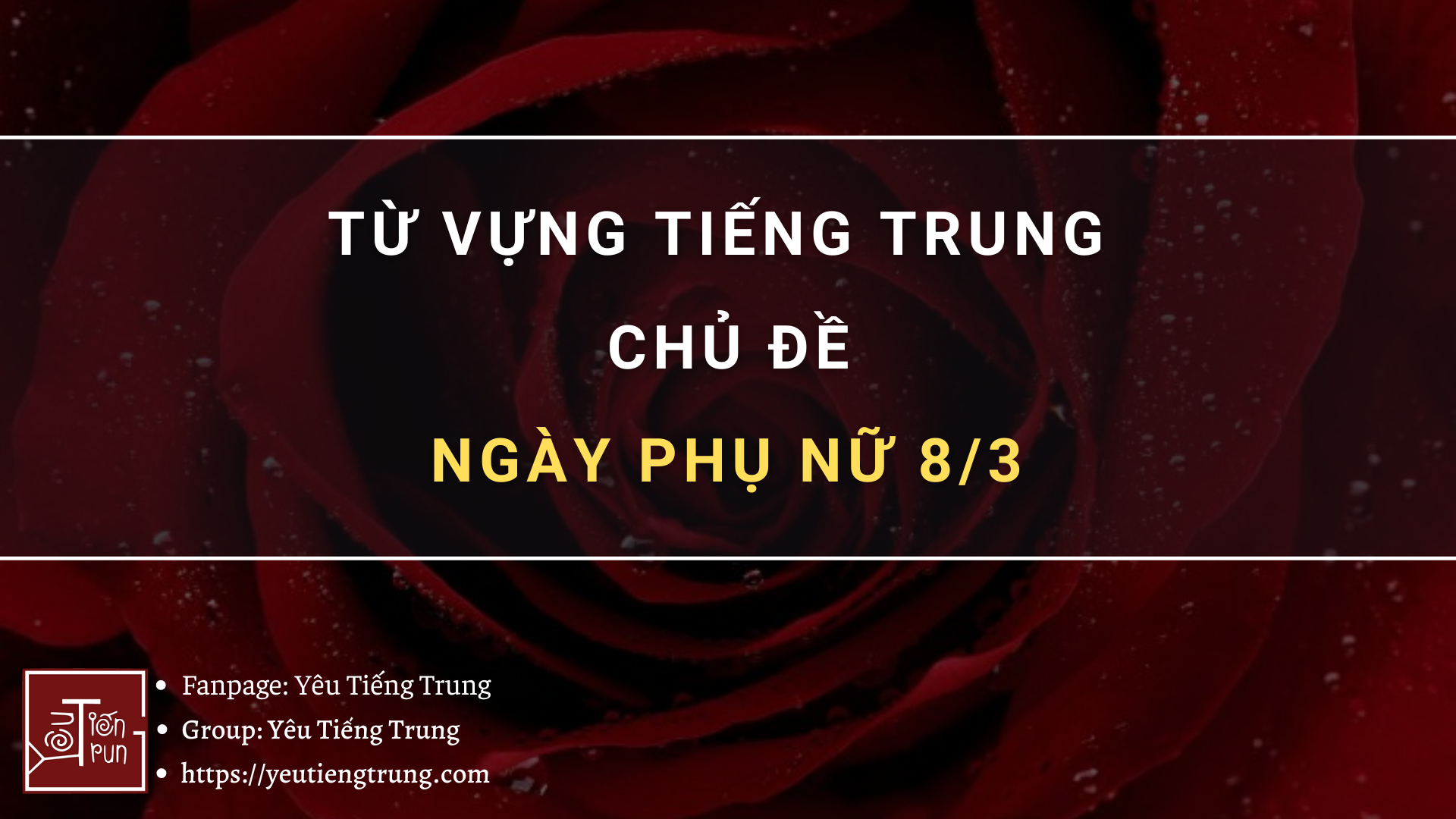 tu-vung-tieng-trung-chu-de-ngay-phu-nu-8-3