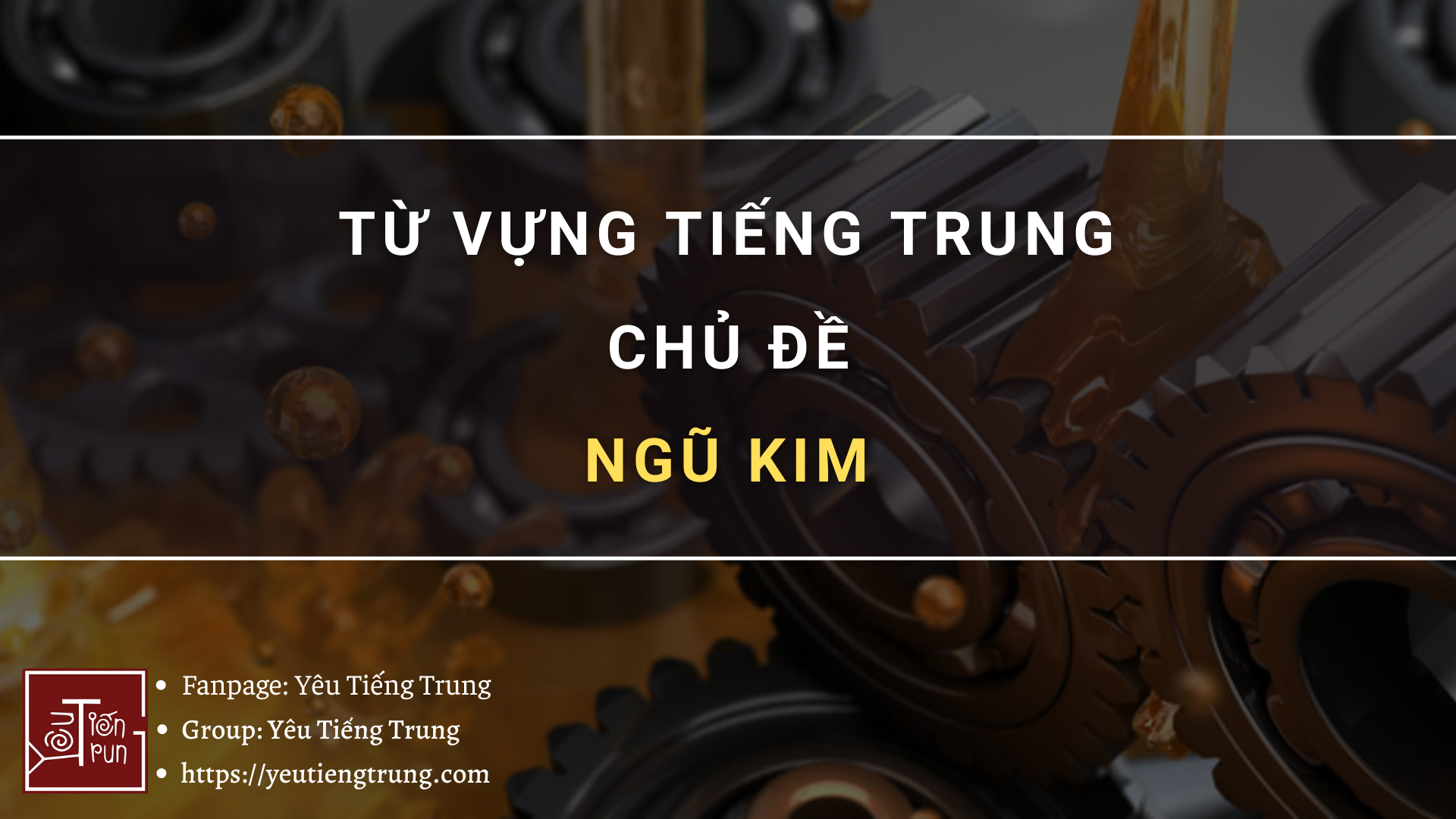 tu-vung-tieng-trung-chu-de-ngu-kim