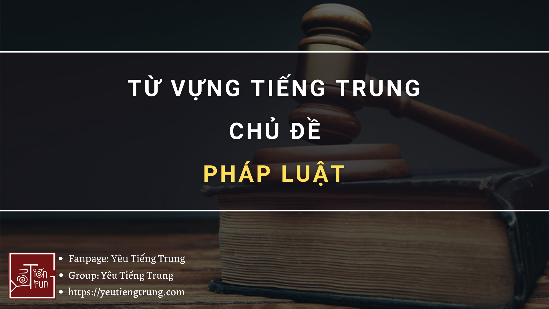 tu-vung-tieng-trung-chu-de-phap-luat