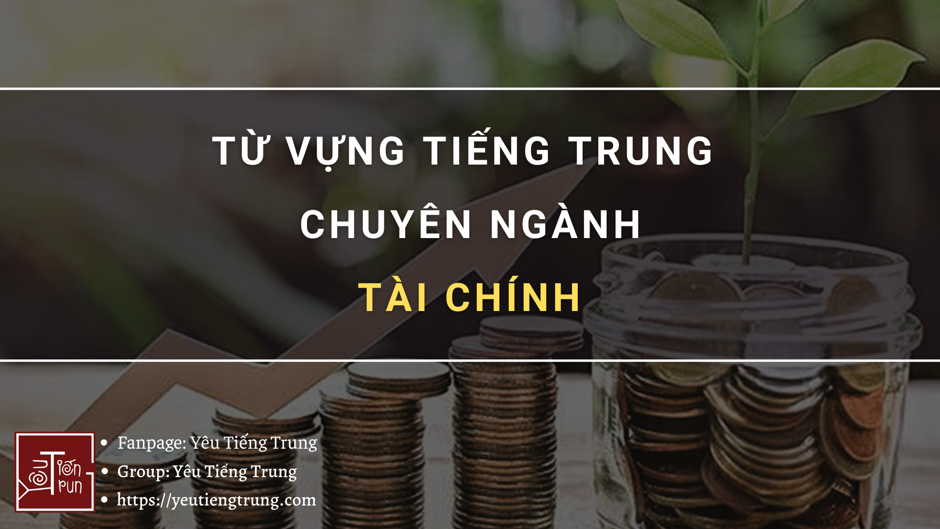 tu-vung-tieng-trung-chuyen-nganh-tai-chinh