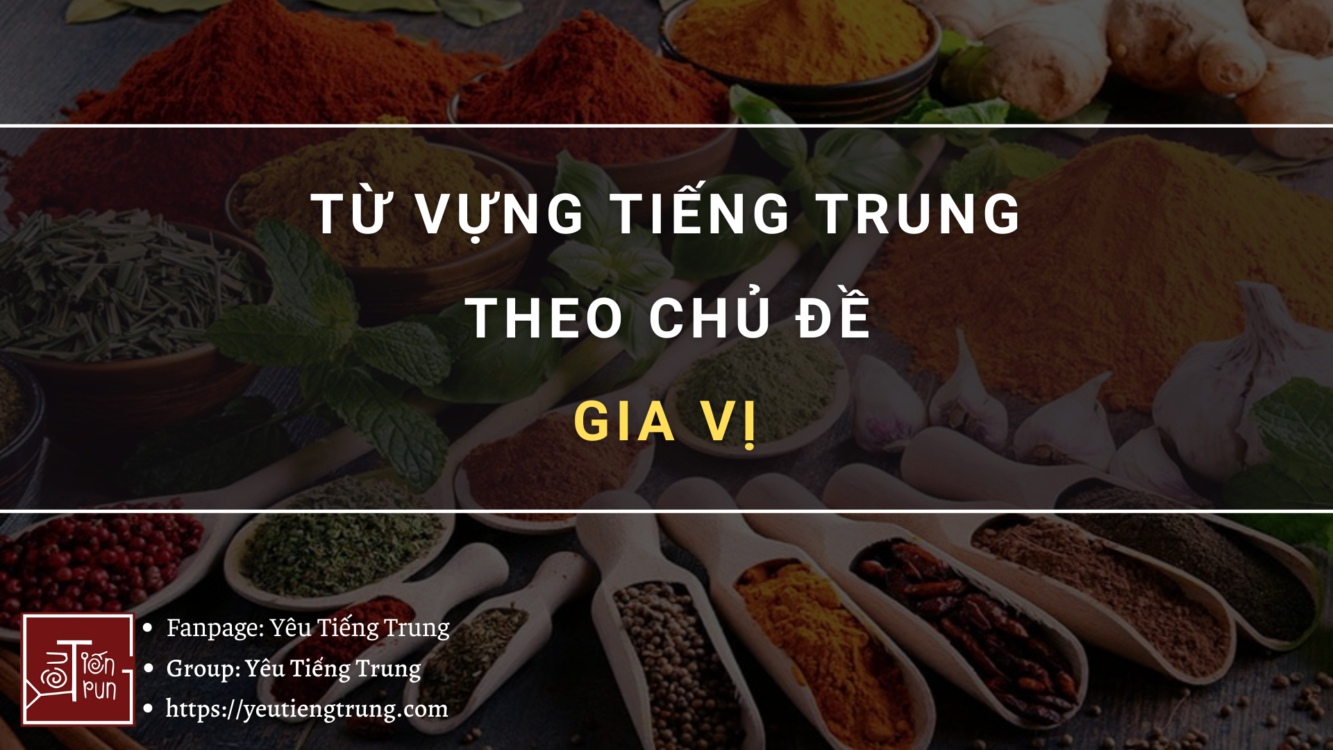 tu-vung-tieng-trung-theo-chu-de-gia-vi