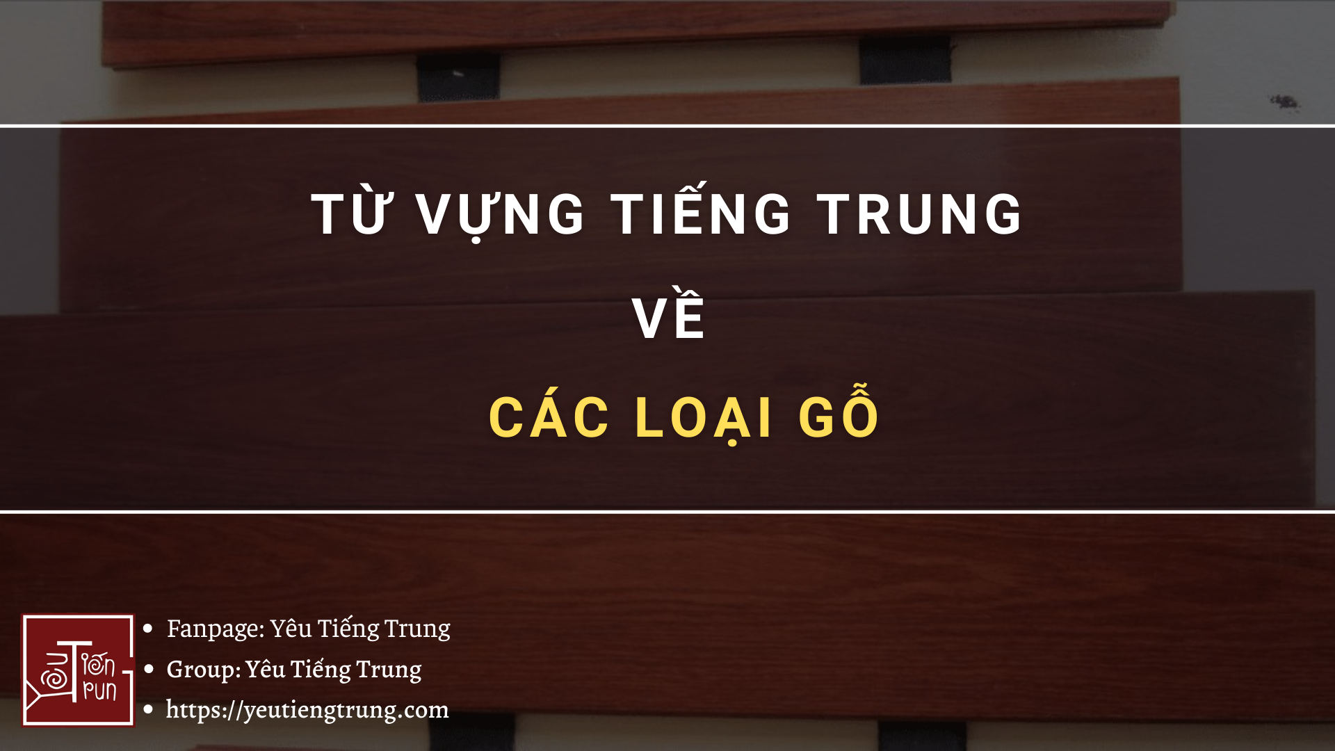 tu-vung-tieng-trung-ve-cac-loai-go