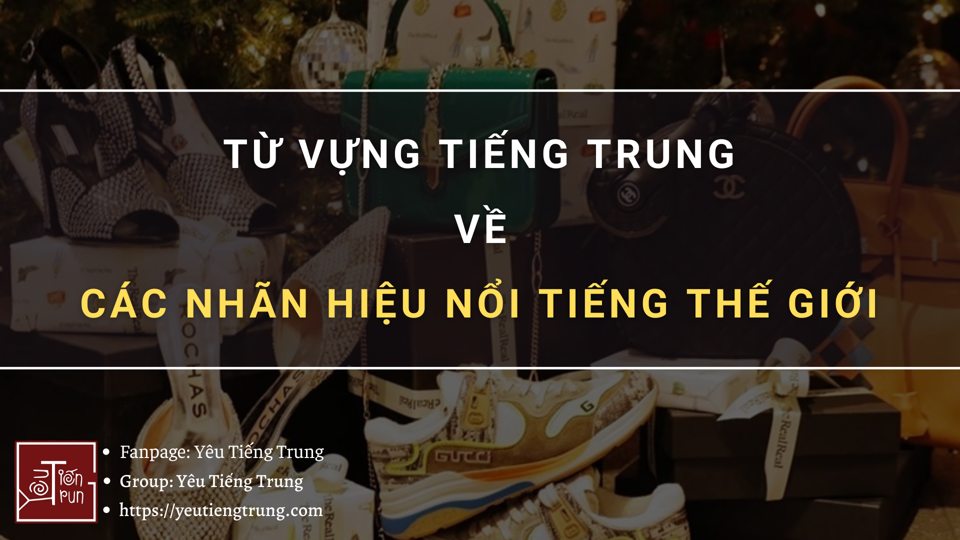 tu-vung-tieng-trung-ve-cac-nhan-hieu-noi-tieng-the-gioi