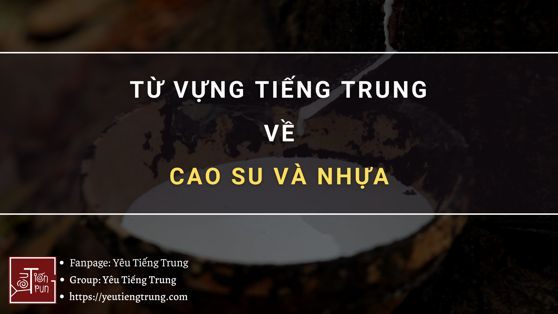 tu-vung-tieng-trung-ve-cao-su-va-nhua