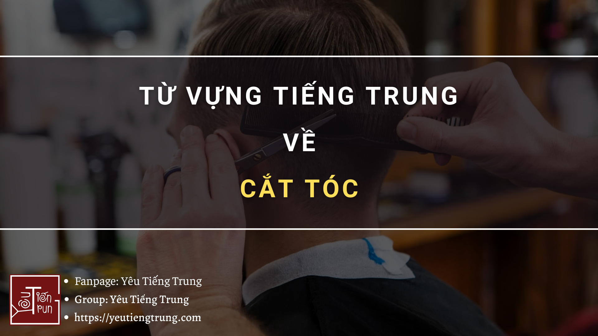 tu-vung-tieng-trung-ve-cat-toc