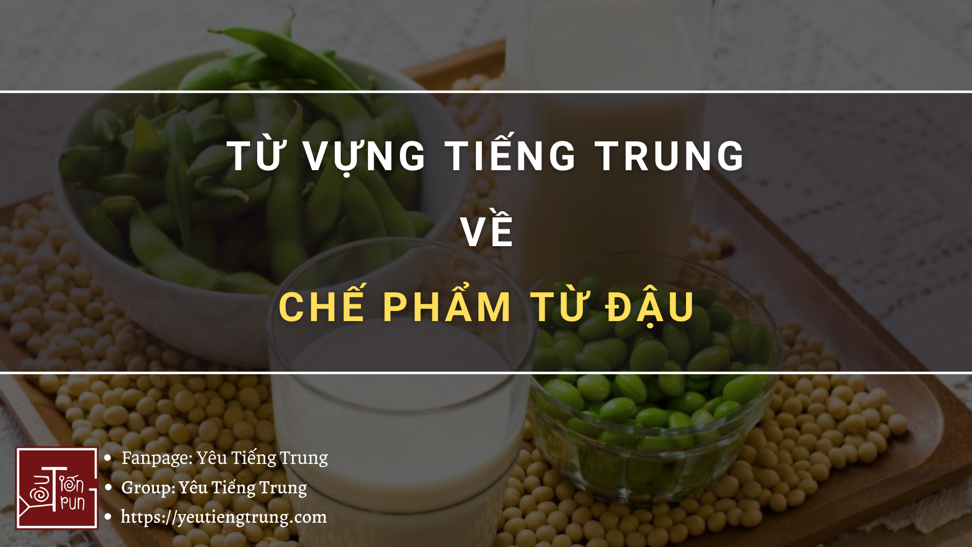 tu-vung-tieng-trung-ve-che-pham-tu-dau