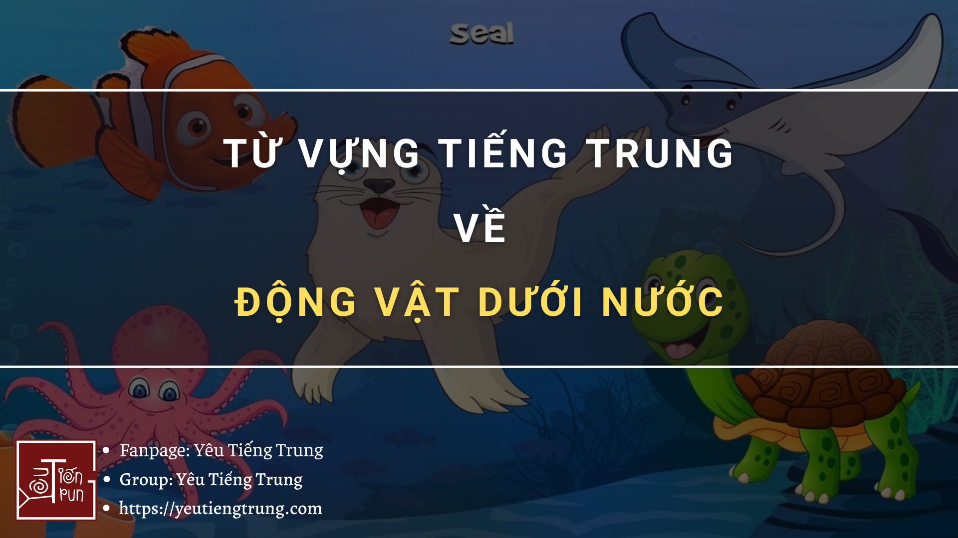 tu-vung-tieng-trung-ve-dong-vat-duoi-nuoc