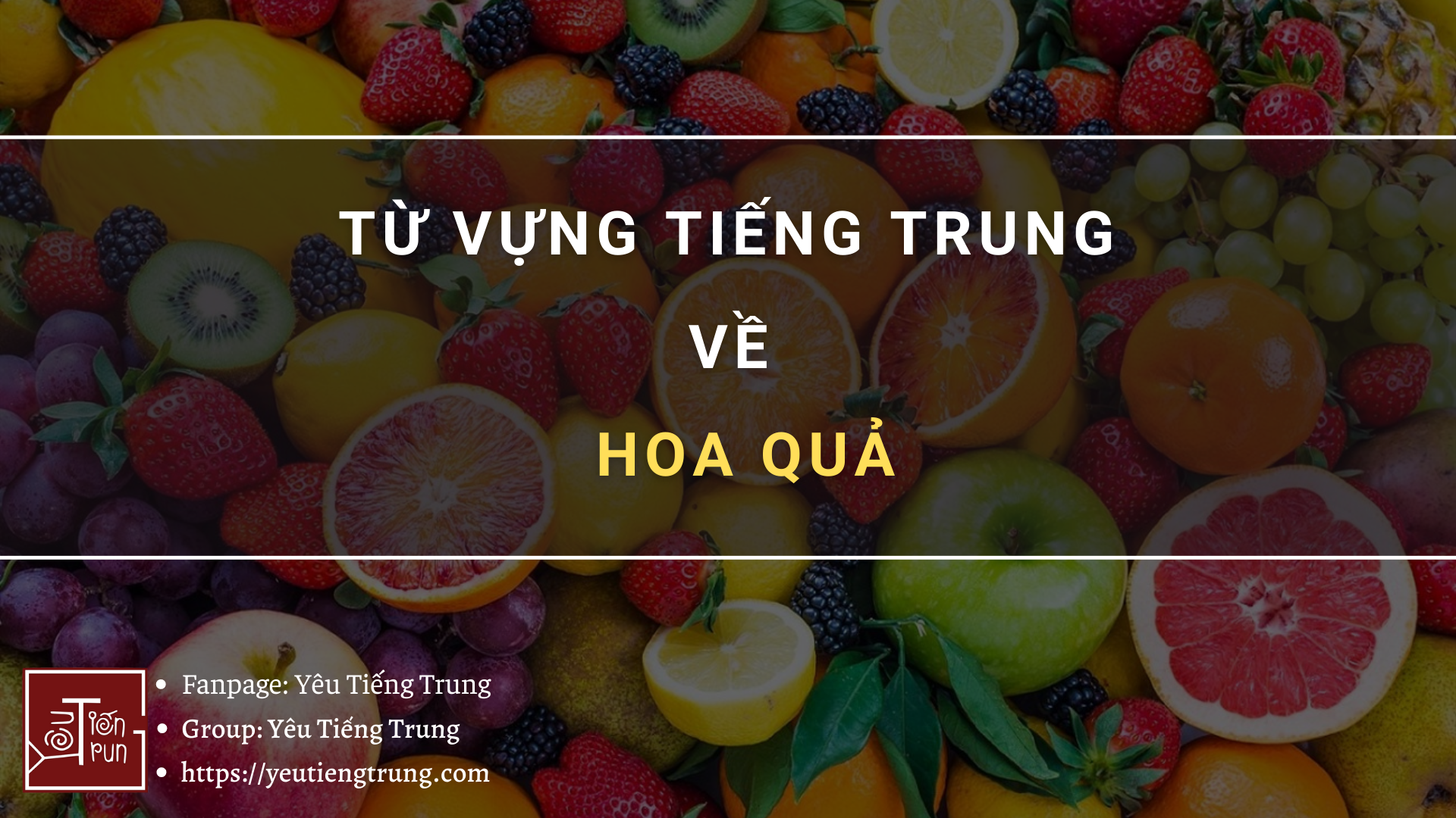 tu-vung-tieng-trung-ve-hoa-qua