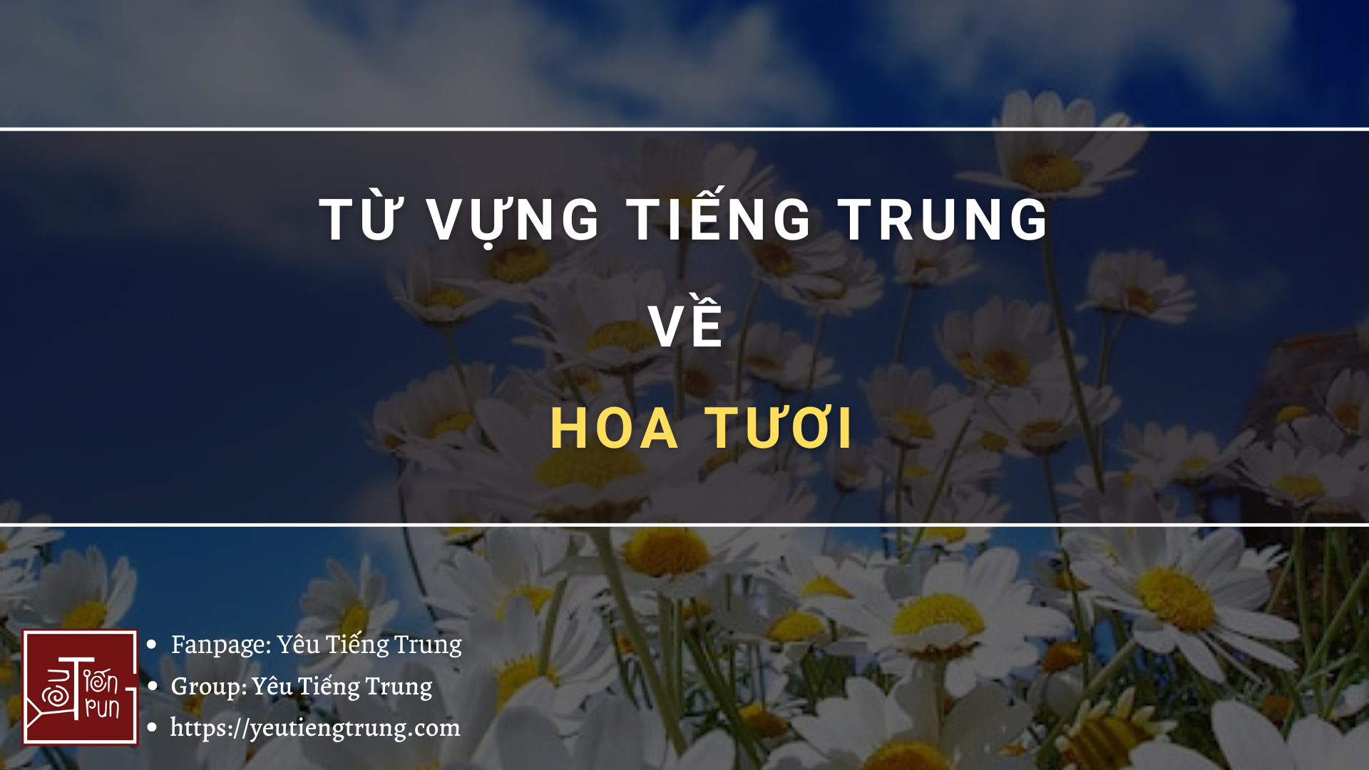 tu-vung-tieng-trung-ve-hoa-tuoi