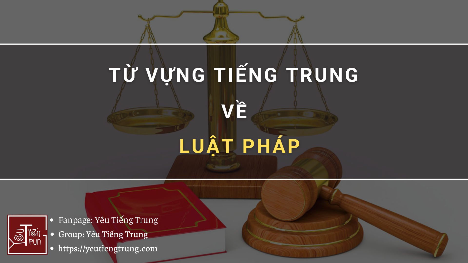 tu-vung-tieng-trung-ve-luat