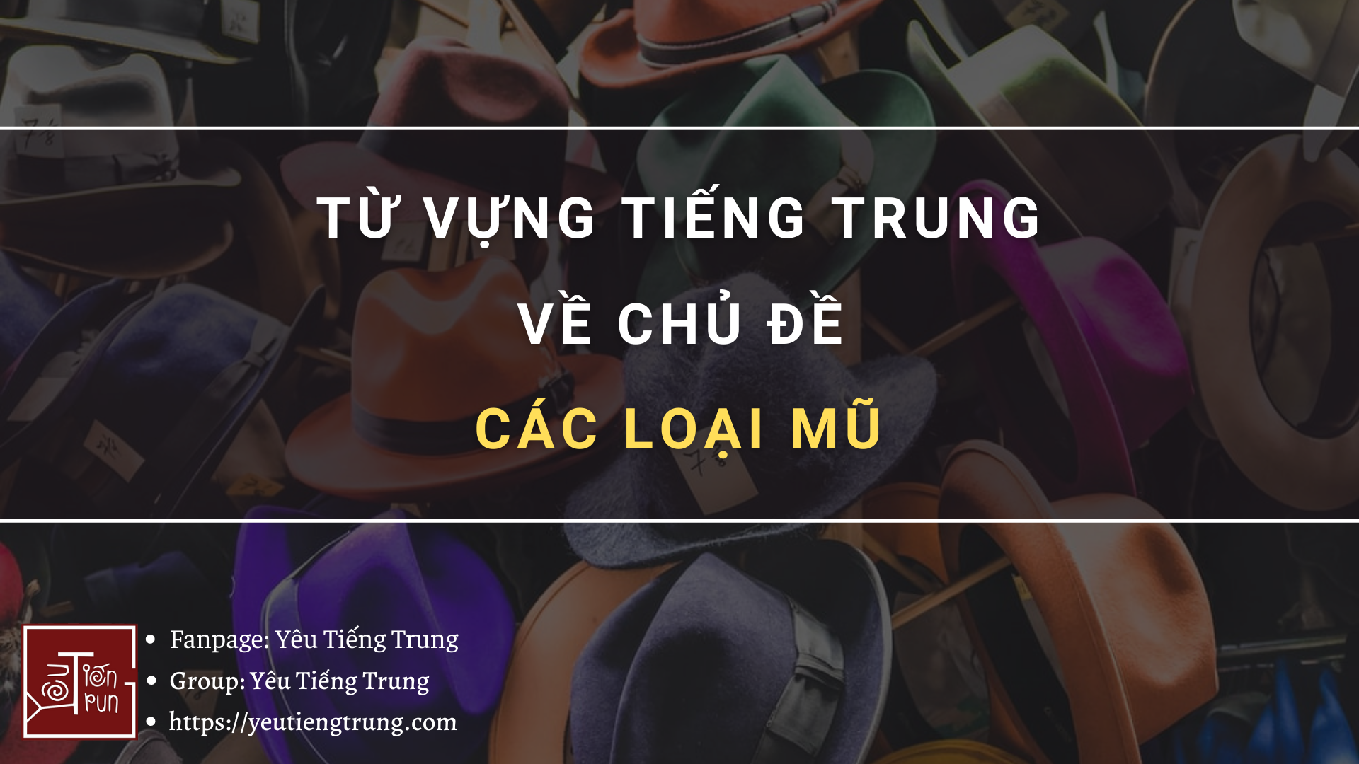 tu-vung-tieng-trung-ve-mu