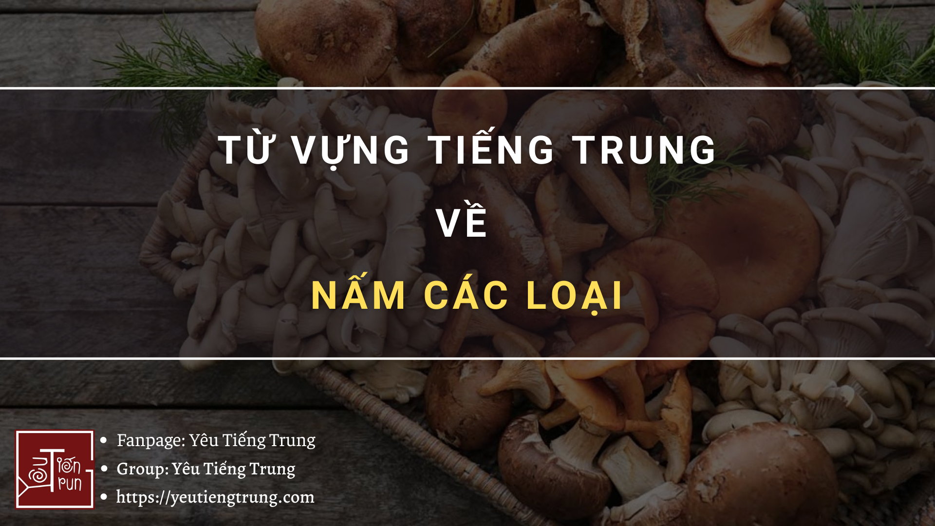 tu-vung-tieng-trung-ve-nam