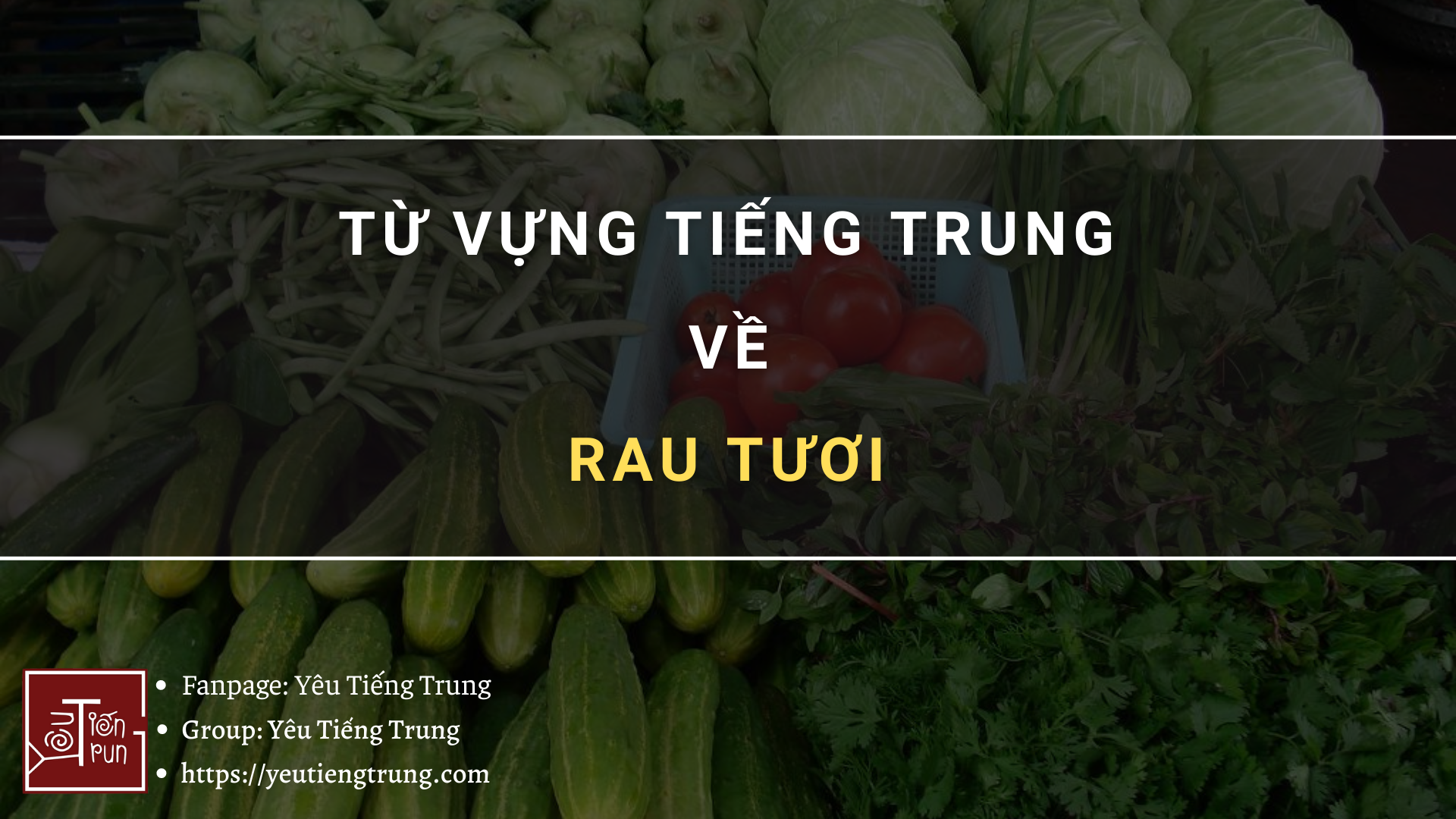 tu-vung-tieng-trung-ve-rau-tuoi